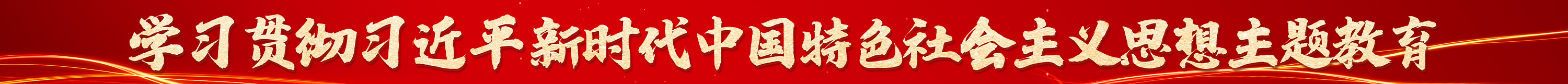 學(xué)習(xí)貫徹習(xí)近平新時(shí)代中國(guó)特色社會(huì)主義思想主題教育