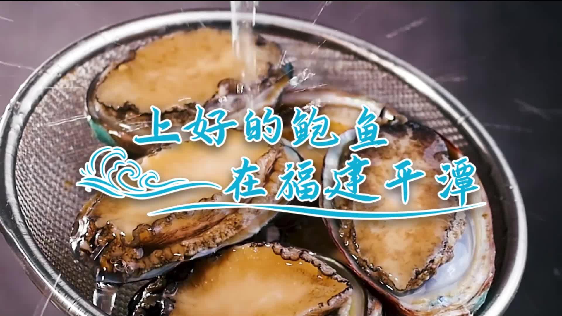 平潭黨媒助農(nóng)賣鮑魚產(chǎn)品